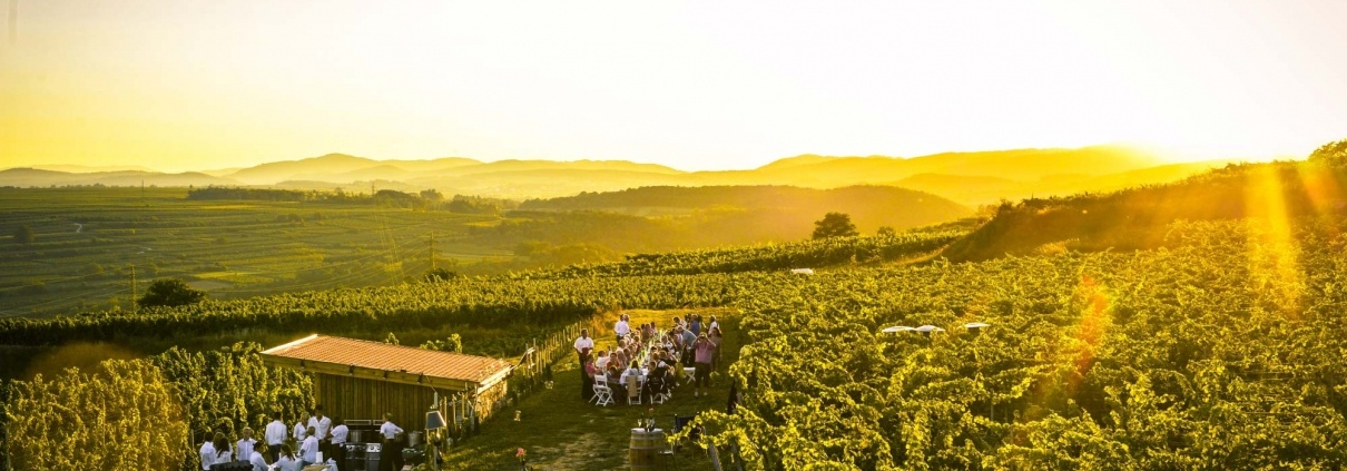 Veranstaltung in den Weingärten