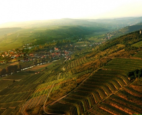 Heiligenstein und Zöbing im Sommer