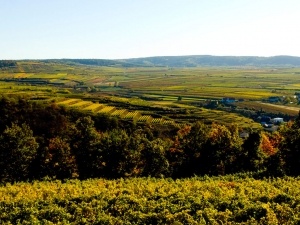 Riede Wechselberg Spiegel