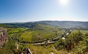 Riede Kalvarienberg, Schönberg, Kamptal