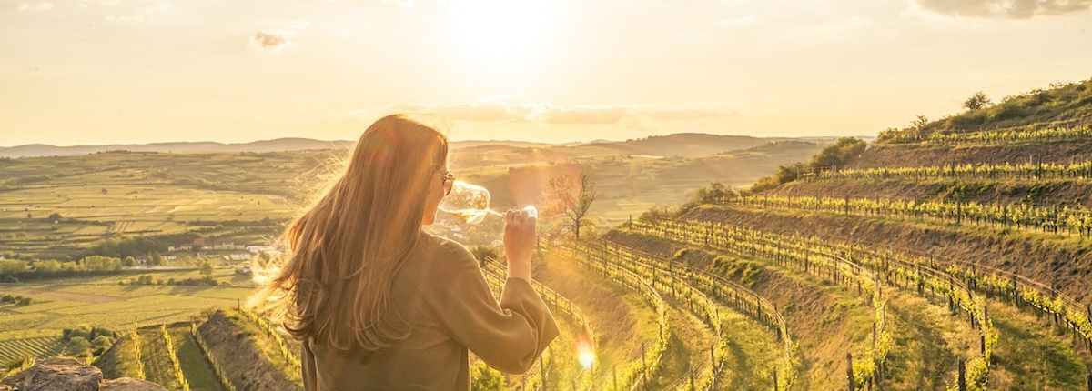 Wein trinkende Frau mit Aussicht auf Weingärten