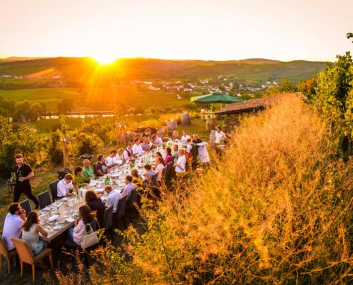 Eine Tafel im Weingarten bei Sonnenuntergang