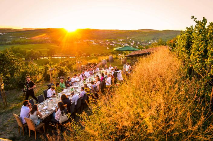 Kostbares Kamptal: Wein & Kulinarik im Spätsommer Eine Tafel im Weingarten bei Sonnenuntergang