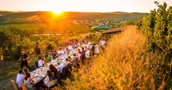 Eine Tafel im Weingarten bei Sonnenuntergang