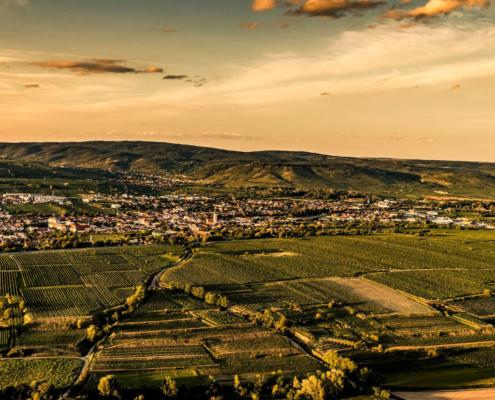 Der Ort Langenlois aus der Hubschrauber-Perspektive