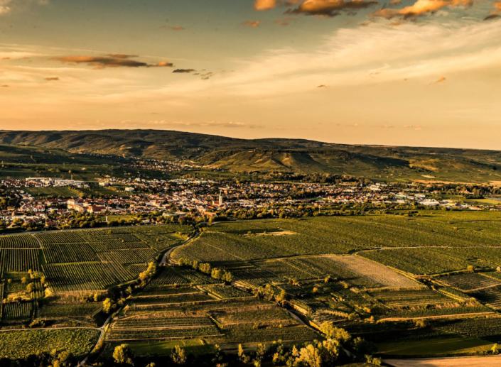 Langenlois © POV Der Ort Langenlois aus der Hubschrauber-Perspektive